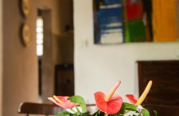 Vila São José - Foto 26