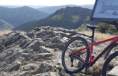 Kopf Frei auf 1000 Meter Wohnung 1 - Foto 38