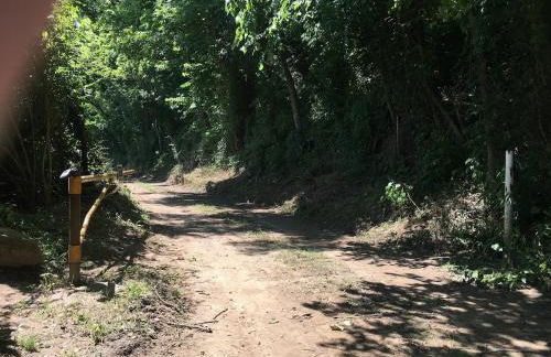 White River Landing - Foto 13