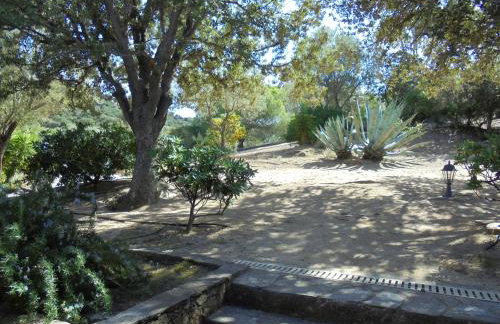 Villa A Scopa à Lumio en Corse avec piscine chauffée, vue mer panoramique, climatisation, jardin arboré de 3000m2, 10 pers, 5 Chb, 4 Sdb - Foto 36