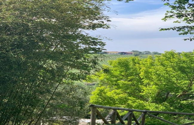 Inviting Holiday Home in San Costanzo With Swimming Pool - Foto 64