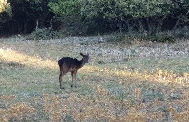 Holiday home Verin - Foto 47