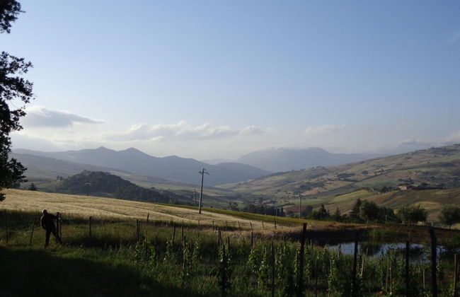 Agriturismo San Pietro - Photo 37