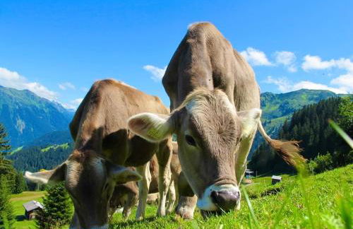 FeWo Alpenherz im Allgäu, mit Balkon und Bergblick - Foto 30