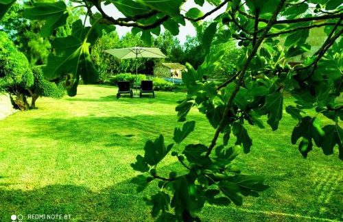 Ca na Maria - Foto 11