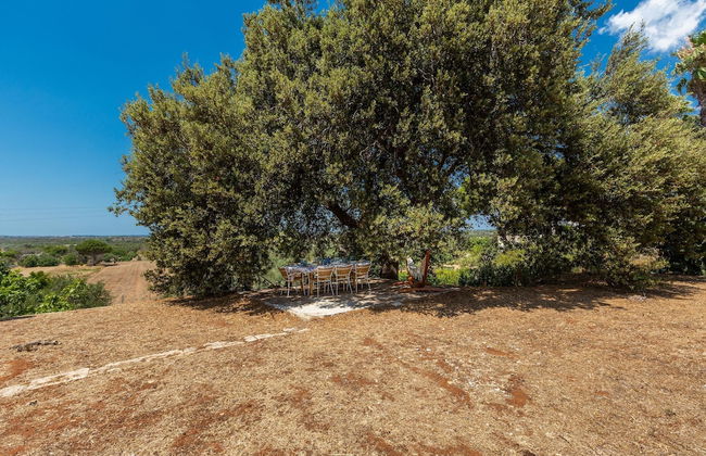 3106 Villa Acqualuce by Perle di Puglia - Foto 33