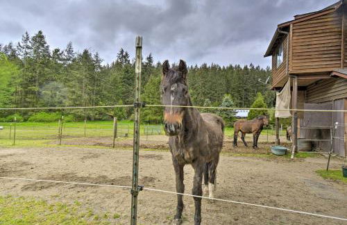 Peaceful Cabin on Horse Farm, 5 Mi to Town! - Foto 24