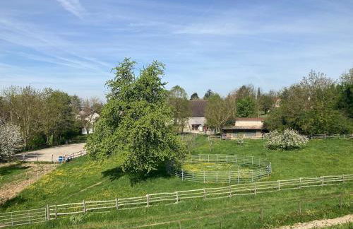 historische Mühle mit großem Garten - Foto 22