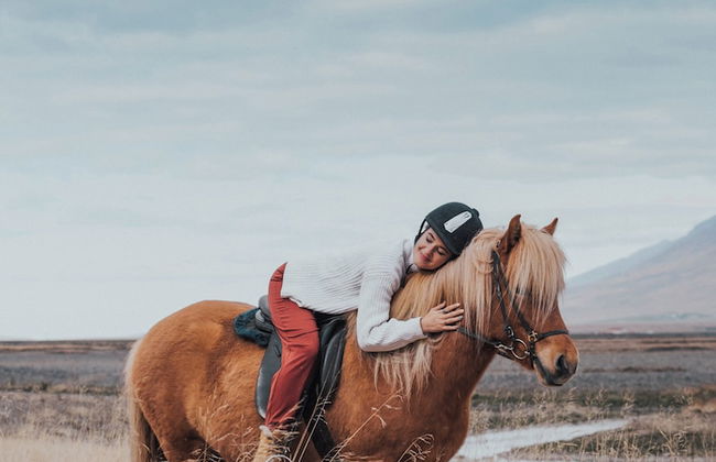 Hestasport Cottages - Foto 65