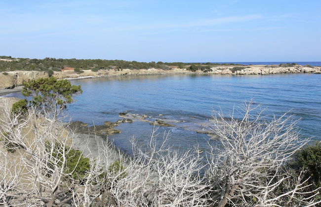 Tavros Hotel Apartments - Foto 28