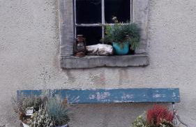 Ferienwohnung am Pochebach - Foto 11