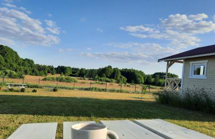 Domki Wysokie Trawy Zdory - Foto 19