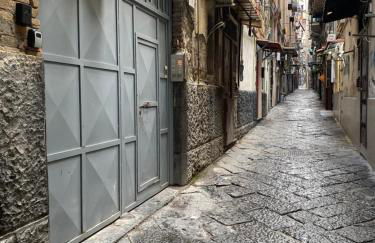 Maison Frattasio - Photo 66