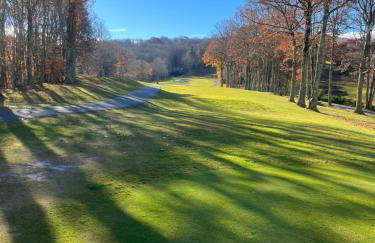 Beech Mountain Swiss-style Chalet - Foto 44