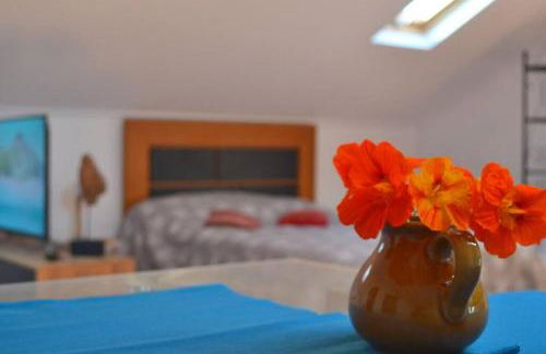 Lazy Lizard Studio - Foto 62