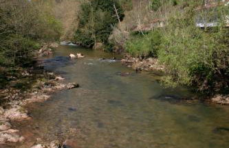 Las Casas Rurales Huerta San Benito - Foto 43