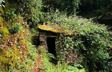 Cantinho do Talasnal - Foto 34