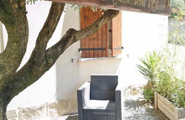 Les Gîtes sous l' Olivier en Camargue - Photo 32