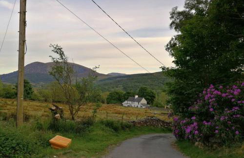 Lovely Stone Village cottage in Snowdonia - Foto 54