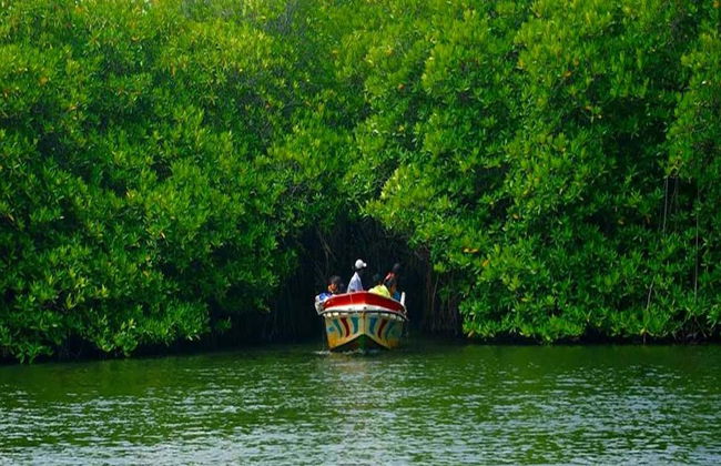 Safari sur la Madhu River - Excursion d'une journée - Photo 4