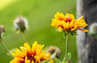 Baumhaus Samerberg - Foto 25