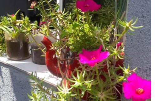 Casa de praia em Itanhaem - Foto 12