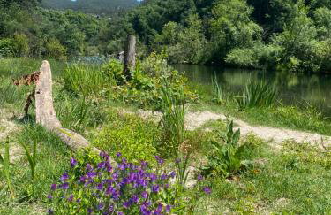 Mirante Canto Das Águas Hidden Nature Escape near Geres - Foto 43