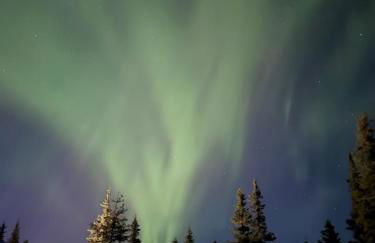 Little Bear Getaway Cabins - Foto 33