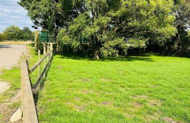 Walland Cottage Romney Retreat - Photo 16