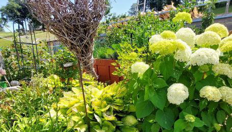 Ferienwohnung Siggi - Photo 2, Garden