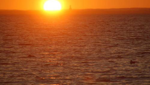 Ostsee Ferienoase 3-Raum-App./Typ 1 - Foto 2