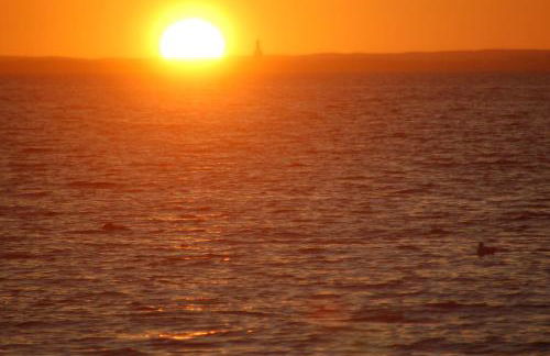 Ostsee-Ferienoase-3-Raum-App-Typ-1 - Foto 2