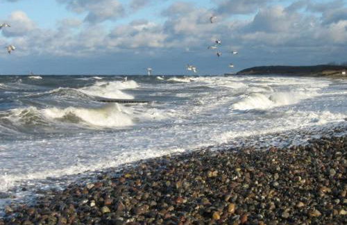 "Villa am Waldweg" Comfortable holiday residence - Foto 21