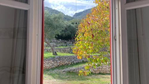 Pandora Villa - Foto 5