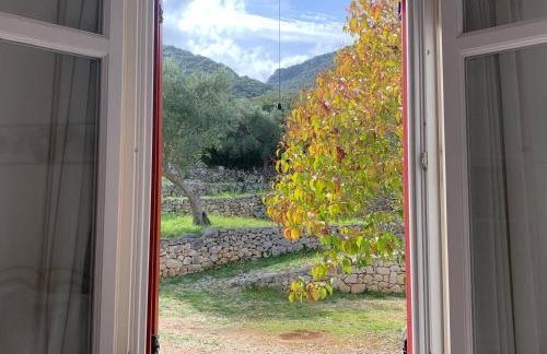 Pandora Villa - Foto 5