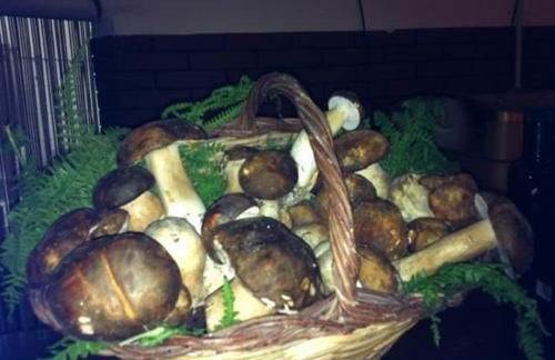 Agriturismo Casale Zuccari - Foto 54