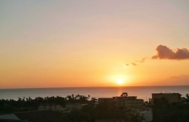 Louislyn Apartments - Photo 43