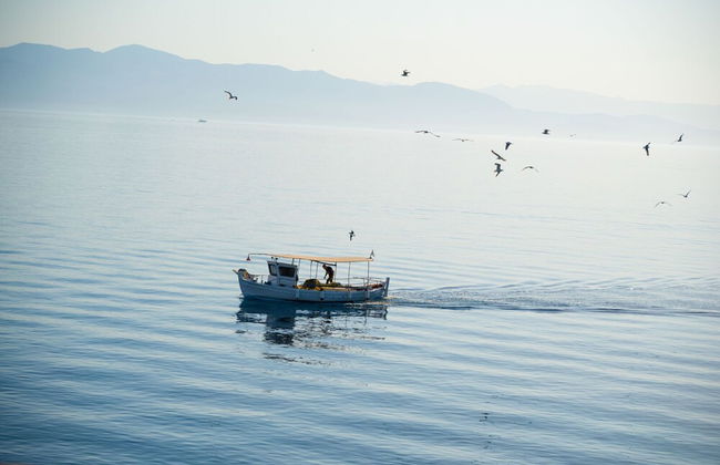 Kefalonia Apt in Gaios - Foto 31