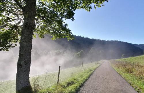 Schwarzwaldferienwohnung Oberle - Foto 29