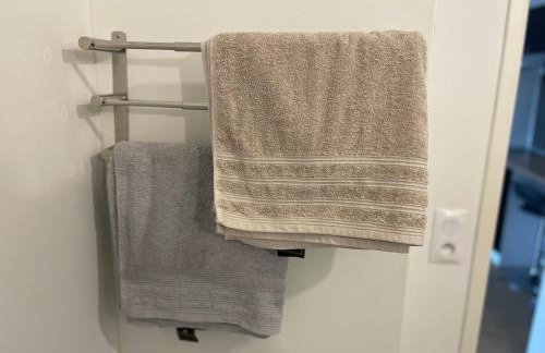 Appartement cosy proche de Paris et sa périphérie-Aéroport CDG-BOURGET-Disneyland - Foto 42