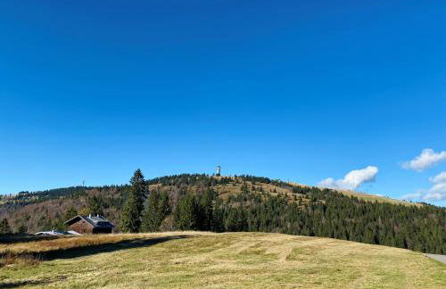 Ferienwohnung Feldberg Schwarzwald - Foto 45