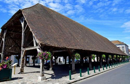 Gîte Le Carpe diem Milly-la-Forêt - Foto 37