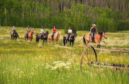 Clearwater Lofts - New! Modern 2 Bedroom Near Keystone Lake - Foto 14