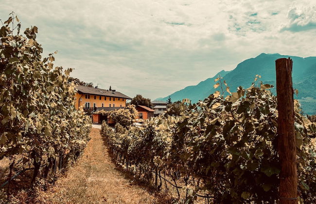 Agritur Mas Dei Chini - Foto 38