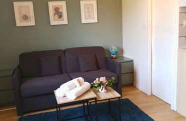 Proche métro B et Hopital Lyon sud - Foto 13