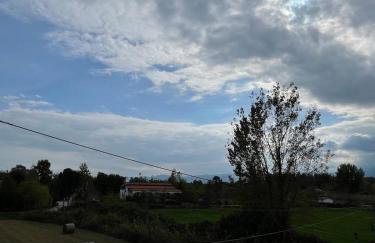 Η Αυλή - Photo 60