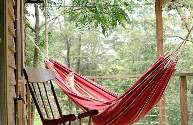 Bluegums Cabins Barrington Tops - Photo 44