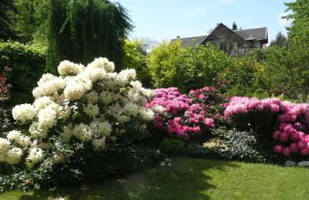 Privathaus Wehle - Photo 11