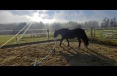 Lieblingsplatz - Foto 20