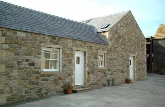 Hamsteels Hall - Foto 27